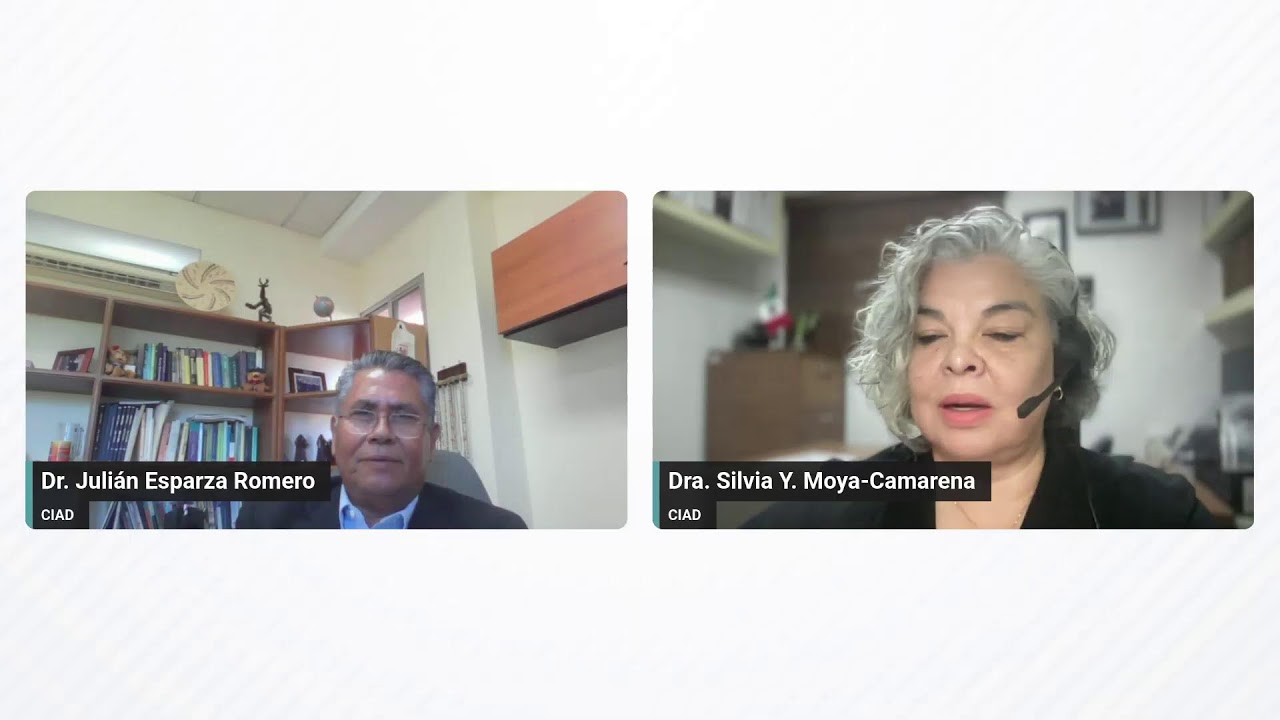 Situación de la diabetes en México. ¿Tema prioritario de salud pública?