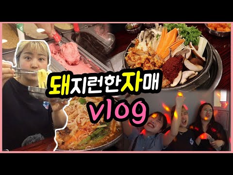 <strong>중앙해장</strong> 곱창전골 (feat 노비의 먹길 가이드) 곱창전골, 젤라또, 코인노래방 브이로그