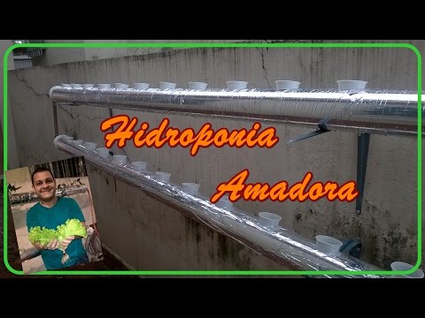 Hidroponia Amadora -