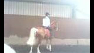 Abby Jumping Avon //*