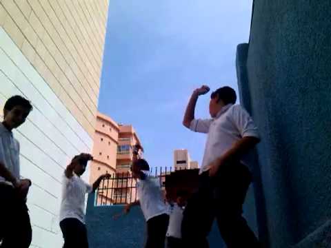 shino hatha harlem shake