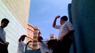 shino hatha harlem shake