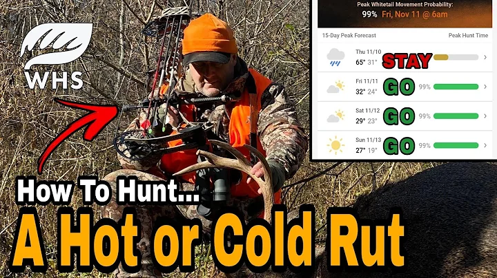 Critical Whitetail Rut Weather Hunting Tips