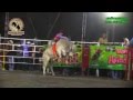 William Levi VS Pequño Tom   Rancho La Misión En Tlaquiltenango Morelos El 9 De Febrero Del 2014