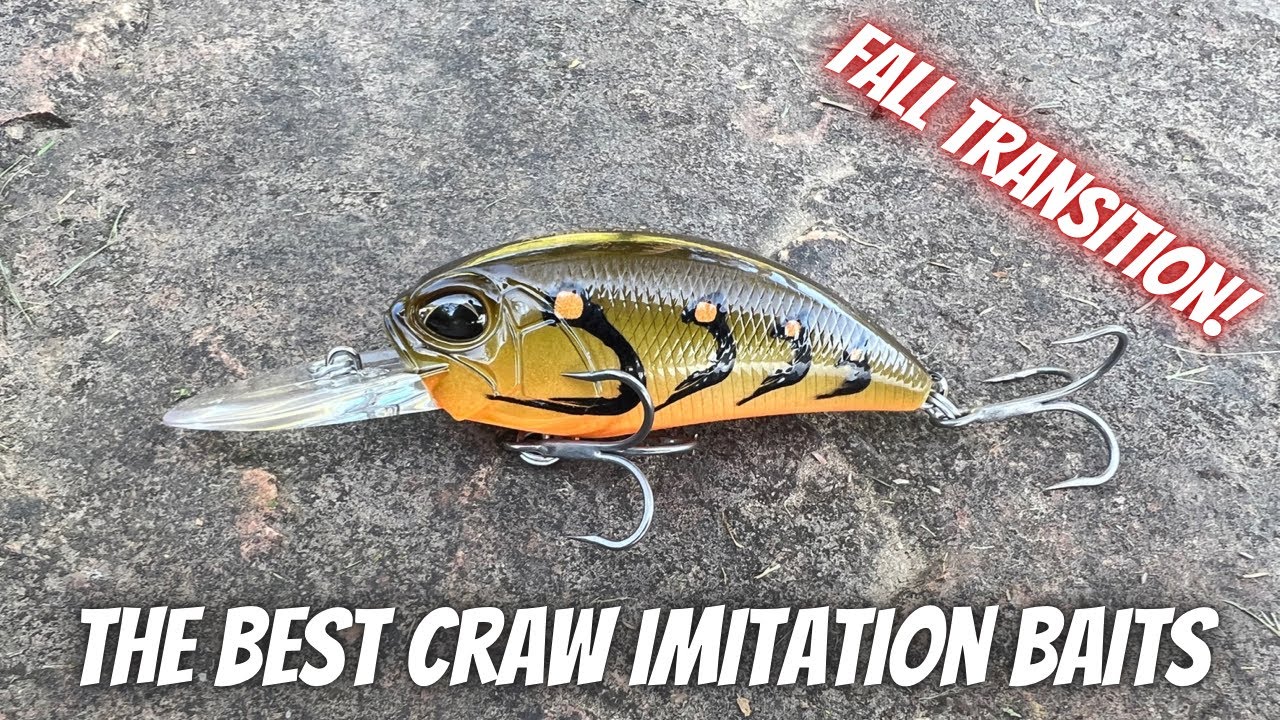 The Best Crayfish Imitation Baits For Fall Transition! 