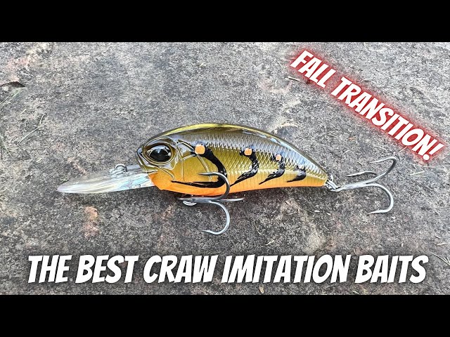 The Best Crayfish Imitation Baits For Fall Transition! 