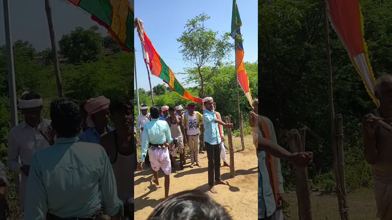 धनजी बावासी पाडी
