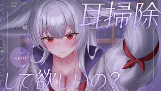 セラCh.【PROMISU】の配信のサムネイル画像