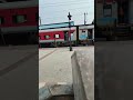 Live highlight