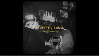 Video thumbnail of "El Emby “Ya No Voy A Llorar” (Oficial Visualizer)"