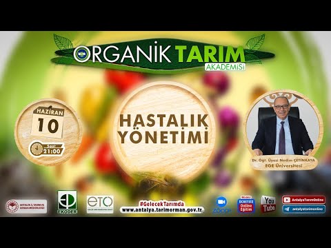 Video: Armillarya Kök Çürüğü Nedir: Armillaria Kök Çürüğü Belirtileri ve Kontrolü Hakkında Bilgi