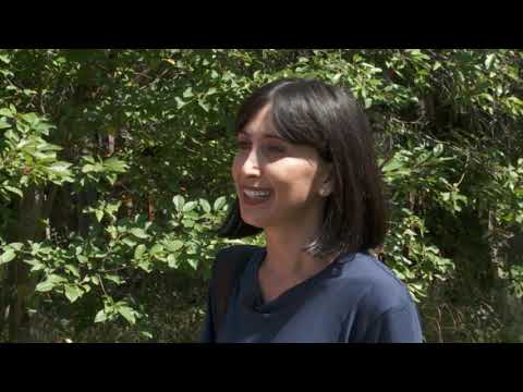 ERTI DGE SOFELSHI- - Sulhiee- Turketshi mdebare kartuli sofeli