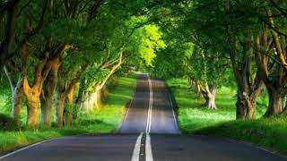 Download Lagu SUNDAY BEST (lirik) MP3