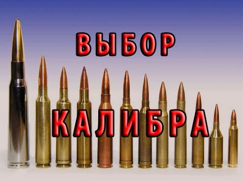 Выбор нарезного калибра. Обзор "ходовых" охотничьих. ИМХО