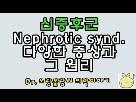 신증후군(Nephrotic syndrome, 콩팥증후군) 기전과 증상: 사구체여과장벽(glomerular Filtration barrier)