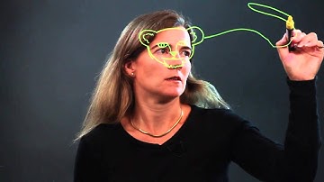 How to Draw Snow Leopards