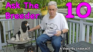 Ask The Breeder 10