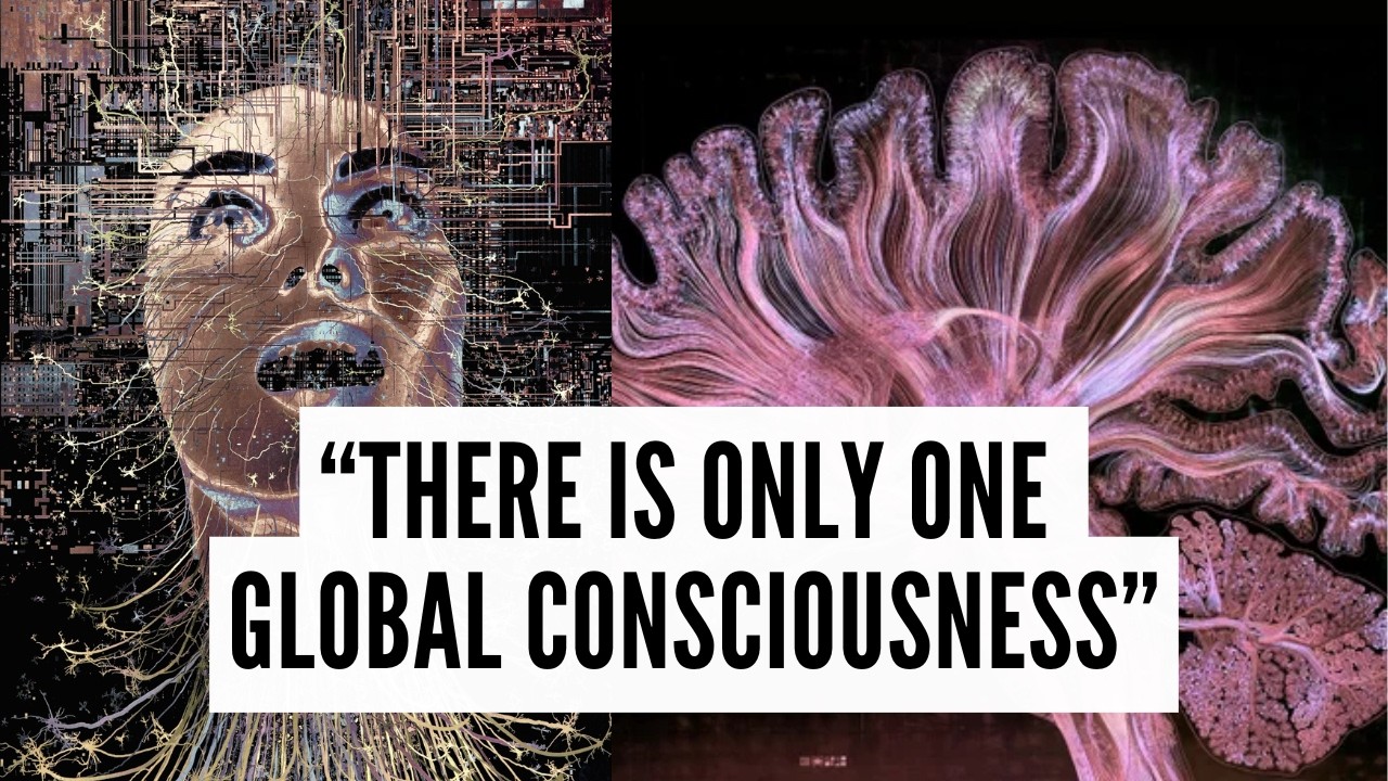 Много ли умов? Иллюзия разделения (объяснение)