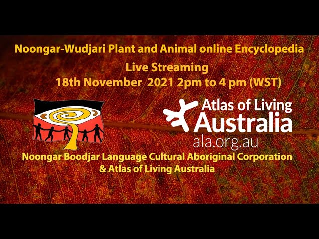 Noongar-Wudjari Plant and Animal online Encyclopedia