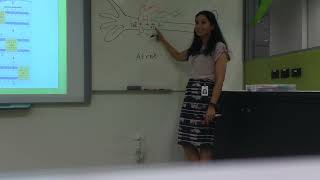 Action Potential- Neurons