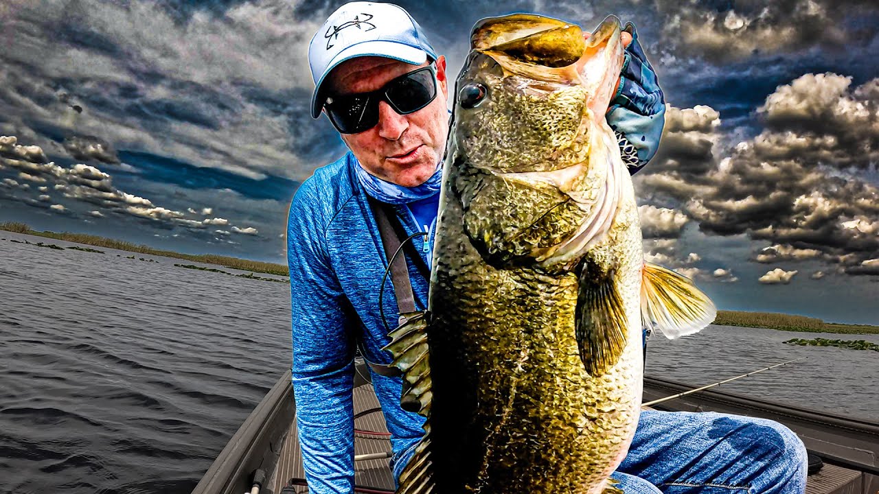 How to Catch Big Florida Marsh Bass!
