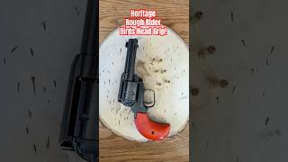 Gotta love cowboy guns…especially in .22 WMR!