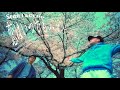 【MV】Sean I & CERO / 恋はいつでもハリケーン
