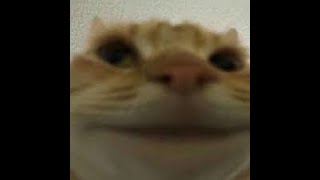 Cat Minecraft (OOF) Earrape