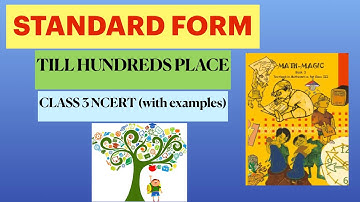 Standard form (till hundreds place) | Class 3 | NCERT | Chapter 2 | Fun with numbers