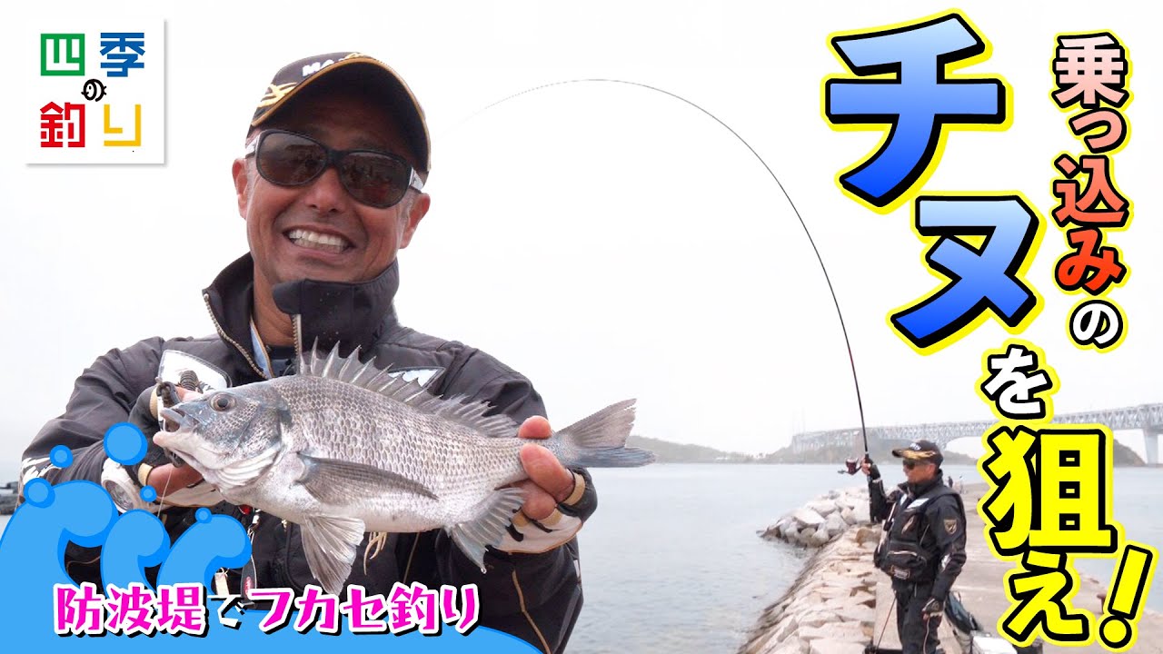 防波堤でフカセ釣り　乗っ込みのチヌを狙え！（四季の釣り/2024年5月10日放送）