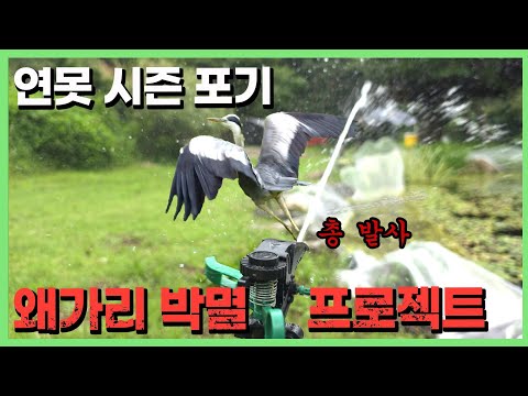 아름다운 연못은 이제 없습니다
