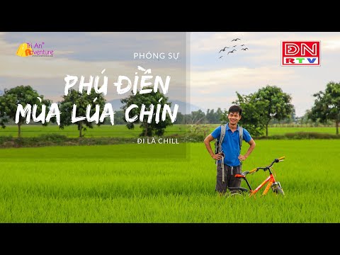 Video Điểm Check in chill nhất Đồng Nai - Cánh đồng lúa Phú... - youtube