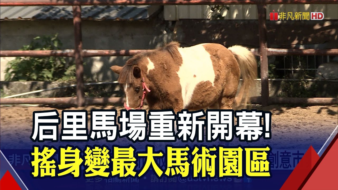 1年內免費入園嗨玩 后里馬場變身 全台最大馬術園區 體驗騎馬還能逛文創市集 非凡財經新聞 20211107 Youtube