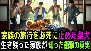 家族の旅行を必死に止めた柴犬――生き残った家族が知った衝撃の真実
