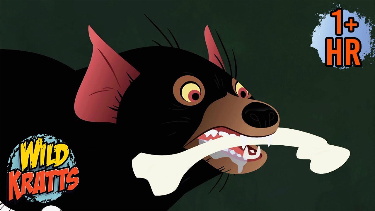 Wild Kratts Save the Tasmanian Devils! | Full Episodes | Wild Kratts | 9 Story Kids