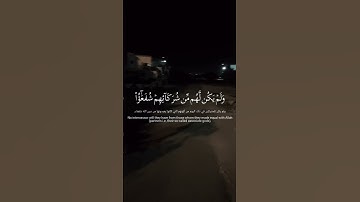 لنتمشى ونستمع 🎧🚶‍♂️…اكتب شيء تؤجر عليه…‏‎#اكسبلور #tree #قرآن #street #سورة_الروم #عبدالرحمن_مسعد