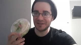 The Quarantine Diaries Day 3