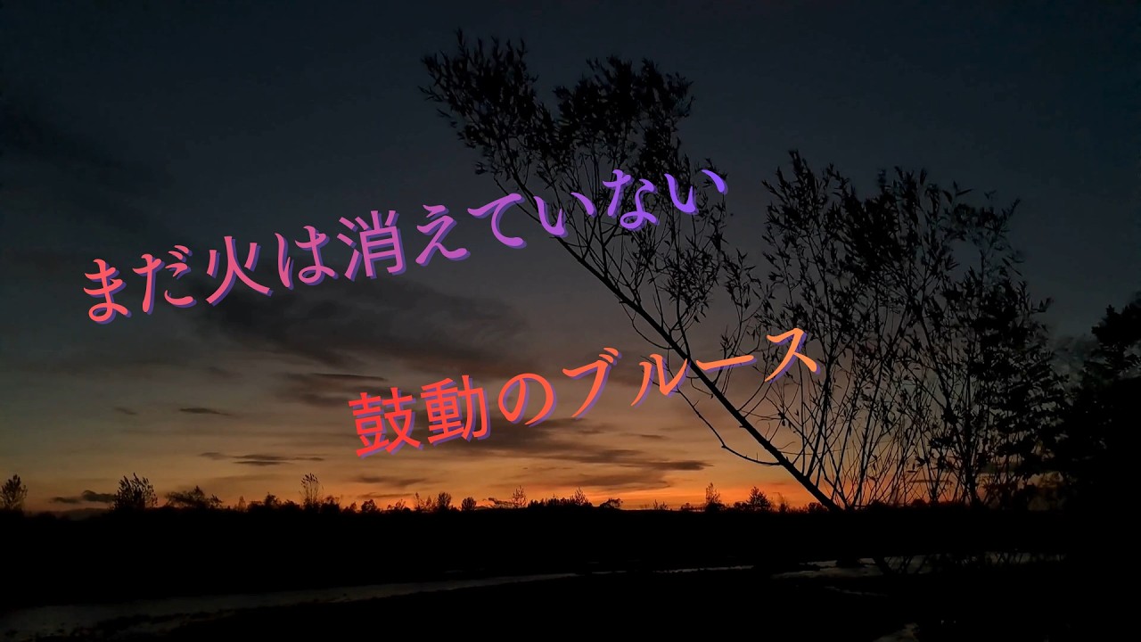 鼓動のブルース