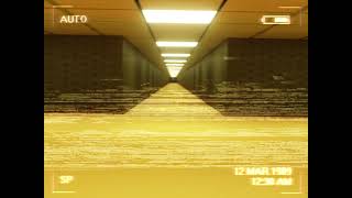Backrooms [Test Footage]
