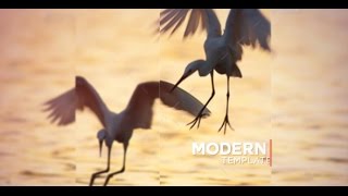 Modern Slideshow 2 /// After Effects Template