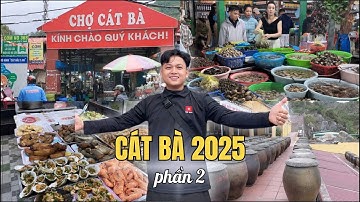 Cát Bà 2025/ Chợ đầu mối hải sản lớn nhất Hải Phòng / Làng nghề nước mắm Cát Hải (Phần 2)