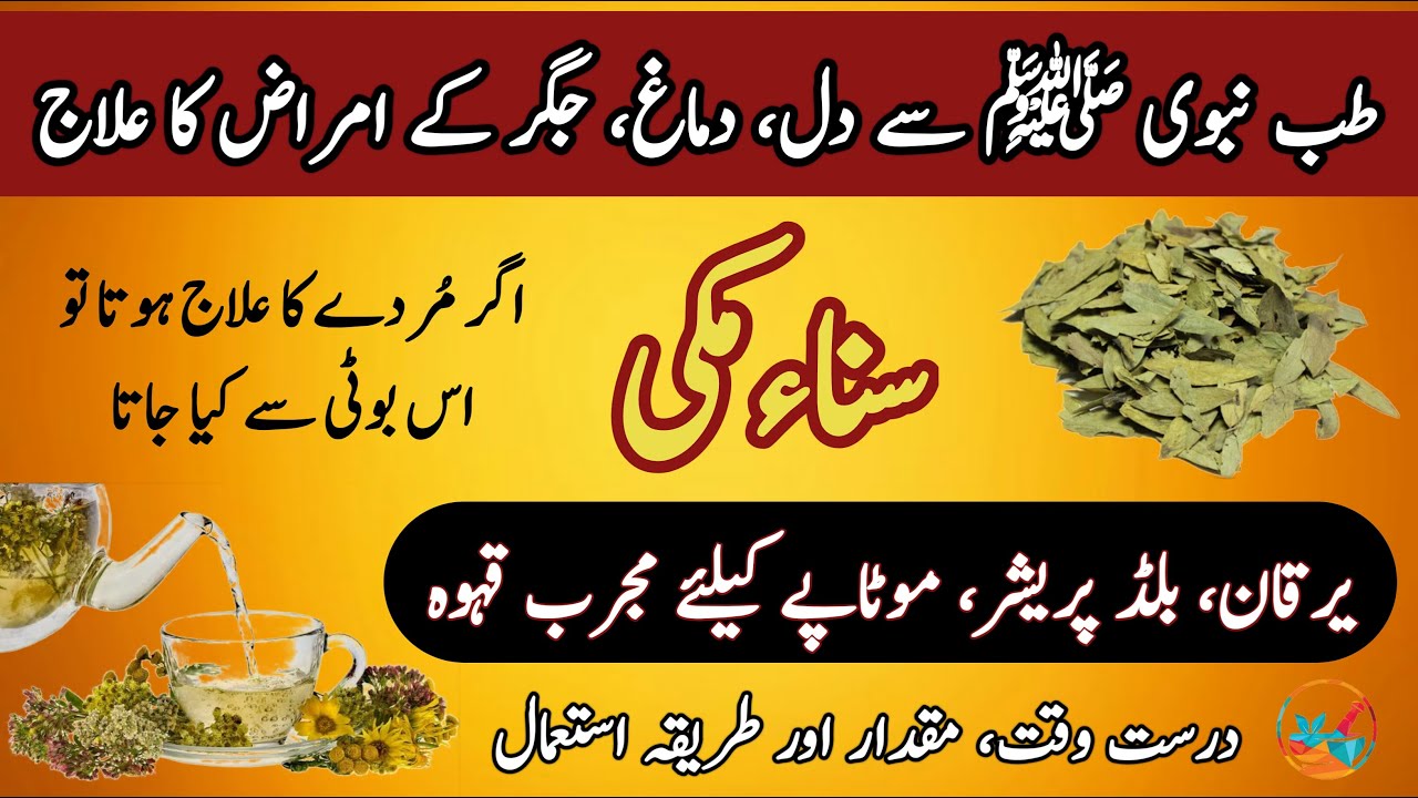 Senna Leaves benefits in urdu/hindi Sana makki ke fayde Sana makki