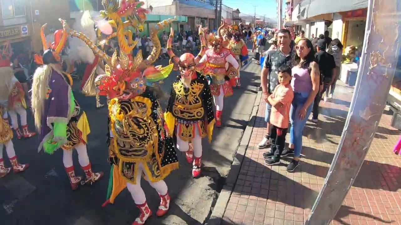 proyecion andina diablos