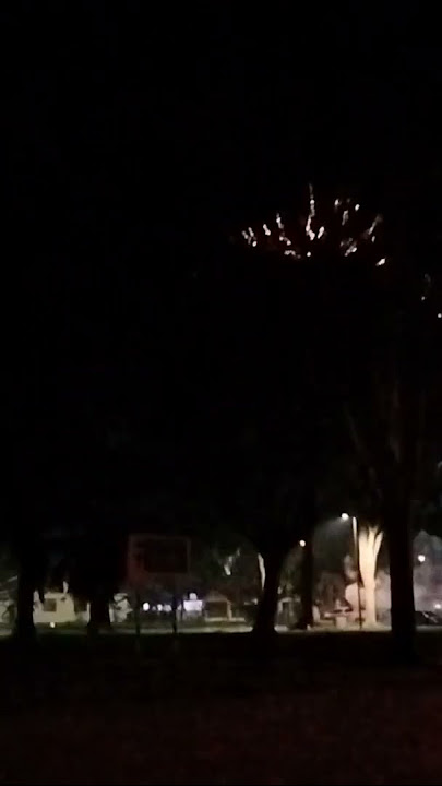 Gong xie fa cai 2024 #chinese #newyear #2024