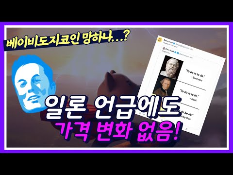   베이비도지코인 망하나 일론 언급에도 가격 변화 없음 베이비도지코인 알아보기