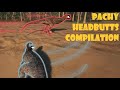 The Isle - Pachy Headbutts Compilation - Parky