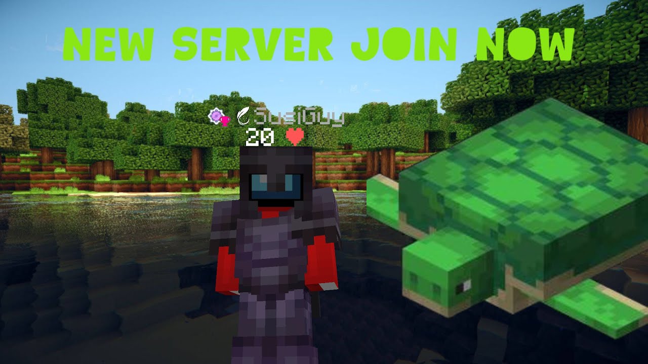 Turtle SMP Live!! JOIN NOW - YouTube