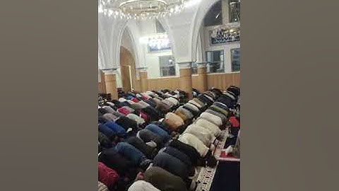 صلاة العشاء و التراويح للأستاذ وديع شكير  -  ليلة ١٤ رمضان١٤٤٤ - ما تيسر من سورة يوسف