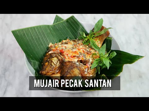 Cara Masak Ikan Mujair Santan