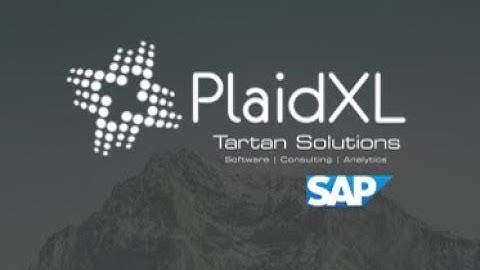 PlaidXL for SAP PCM | Overview